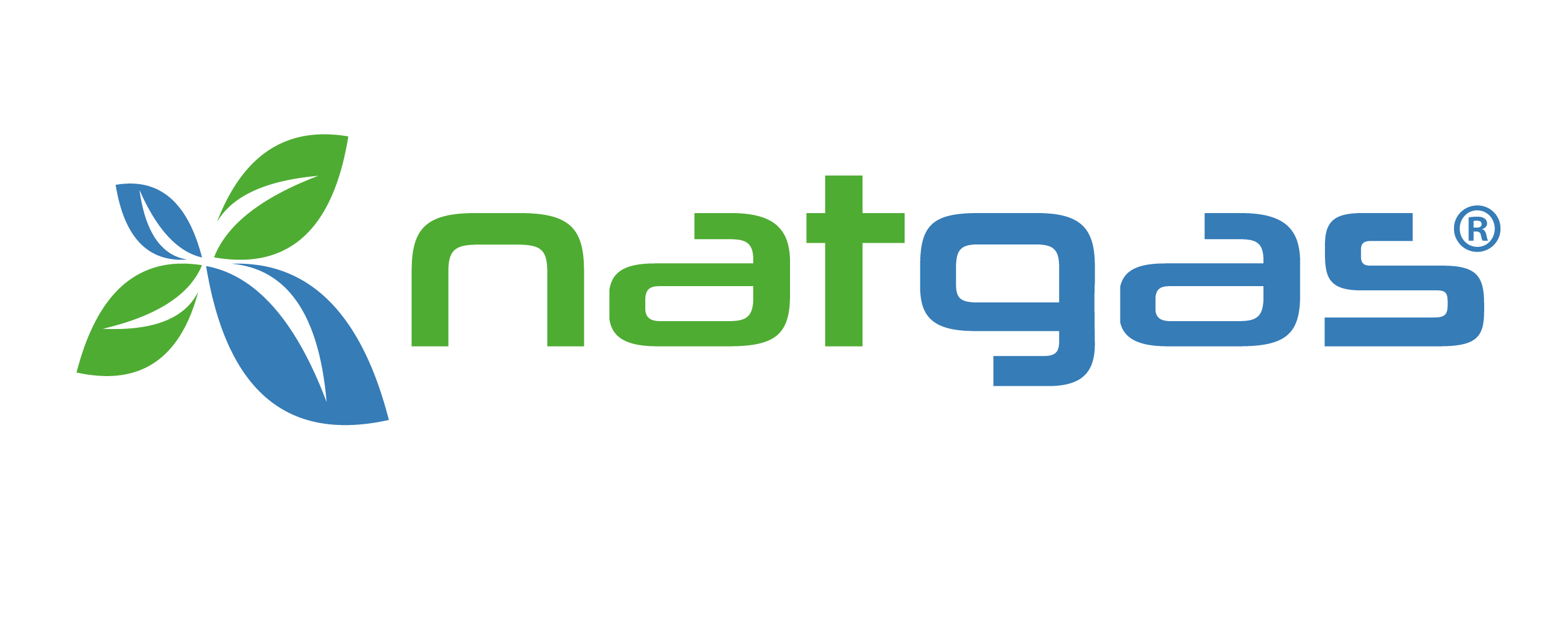 Logo de NatGas